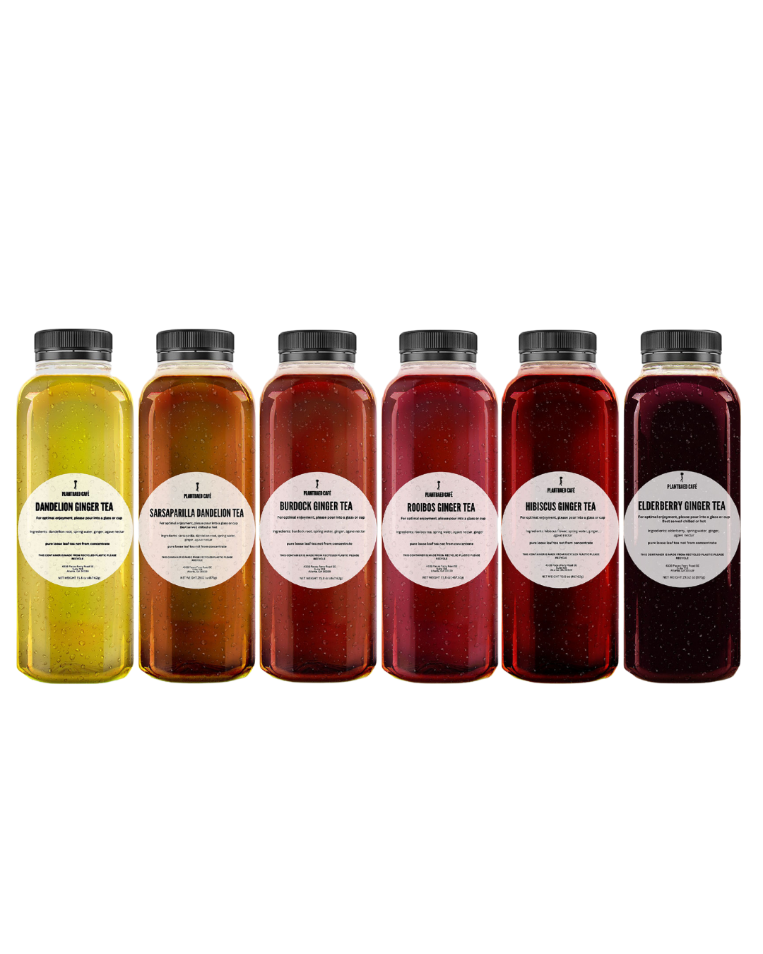 12 PACK COLD BREWED BOTTLED TEA ASSORTMENT